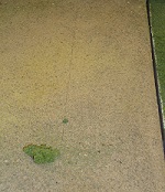 Figure 1 -- Cracks where wood meets foam.jpg